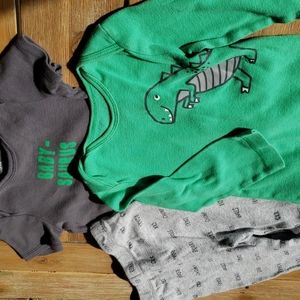 3 piece dinosour carters set.